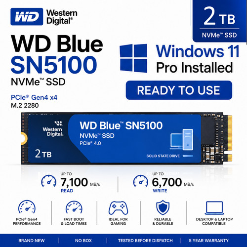 Blue sn5100 2tb - nvme, gen4