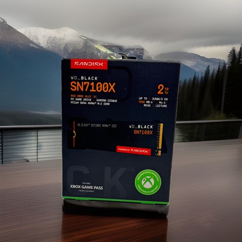 Black sn7100x nvme ssd 2tb - wd_black,